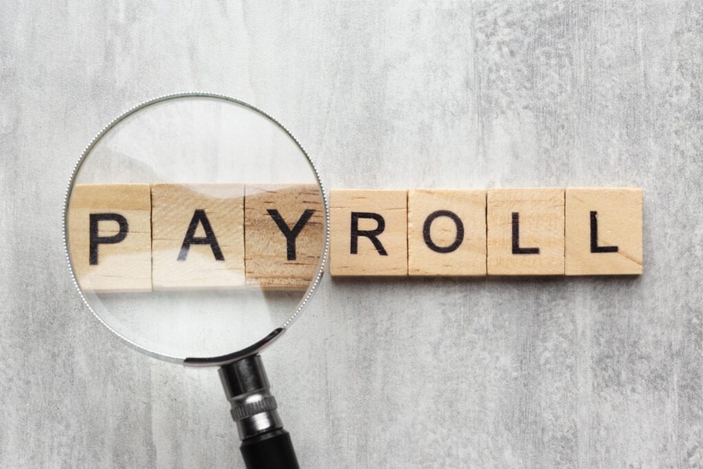 Expert payroll services